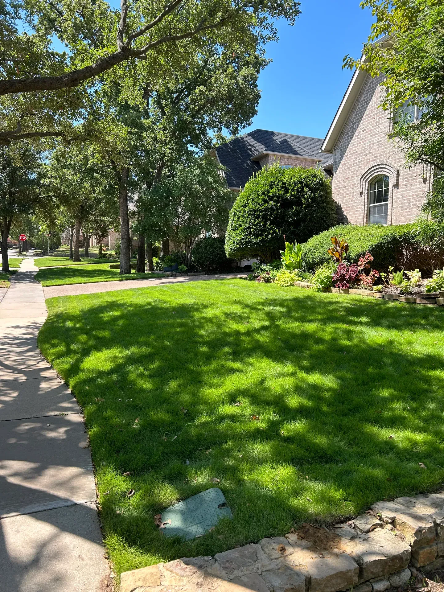 finished front lawn with mature trees